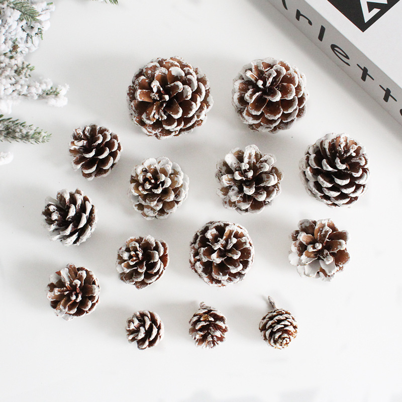 O1CN01dcnzGa1Tdzr0e3fTC_!!2830642406-0-cib