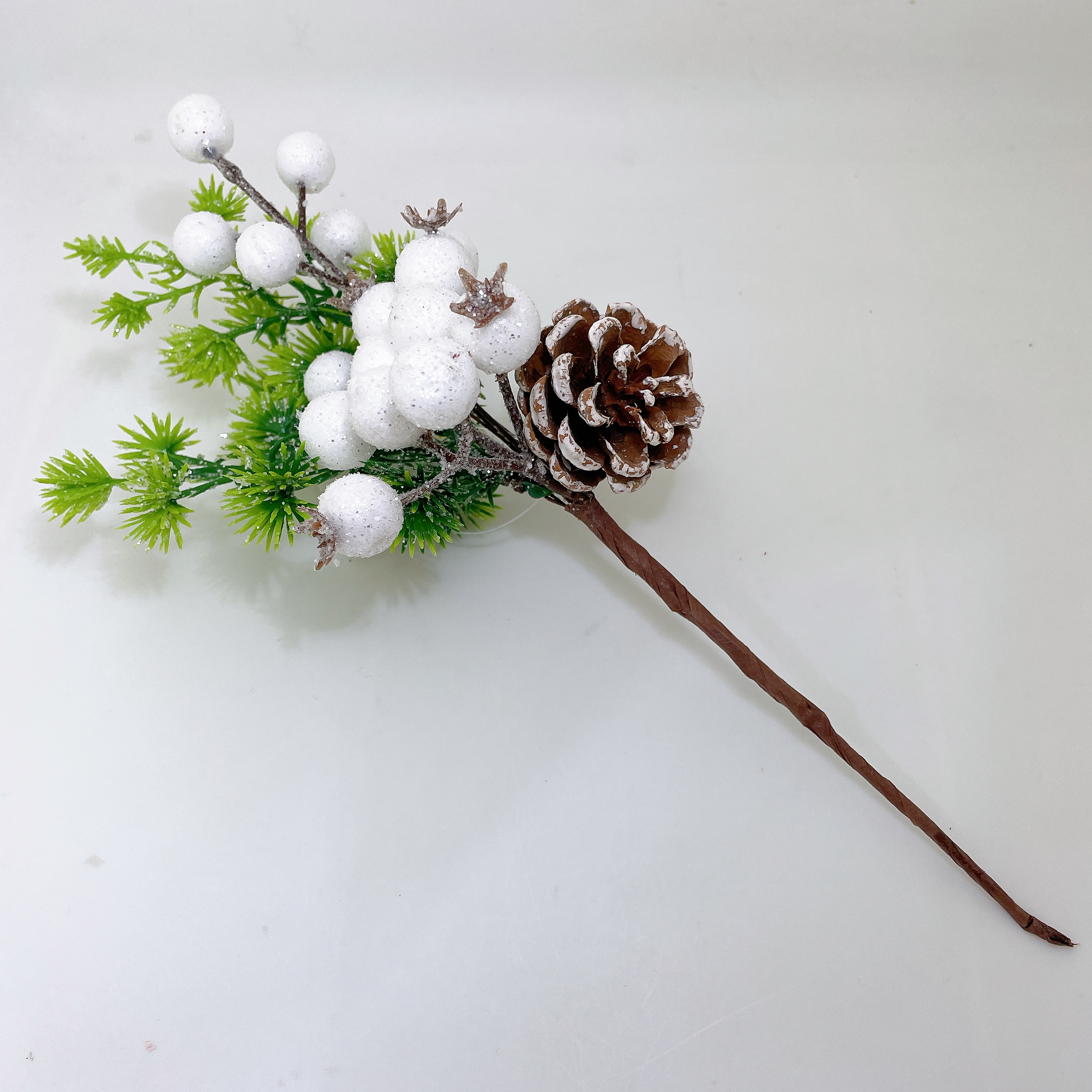 圖片_20241114211709