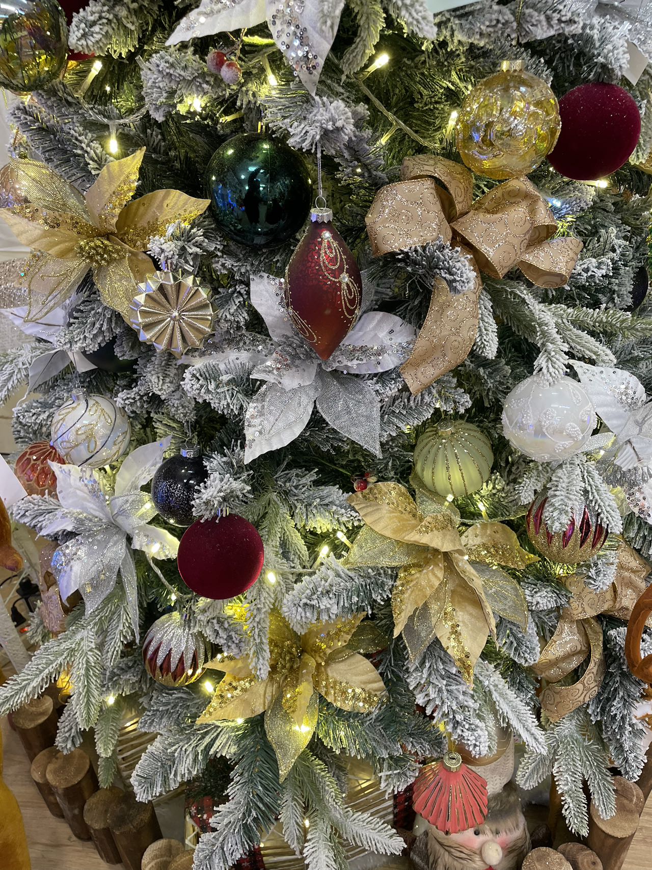 圖片_20241217152826