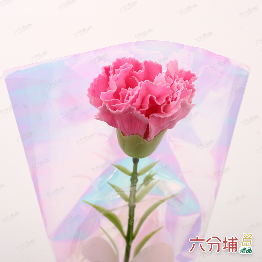 285962-285979-285986-285993-3-L