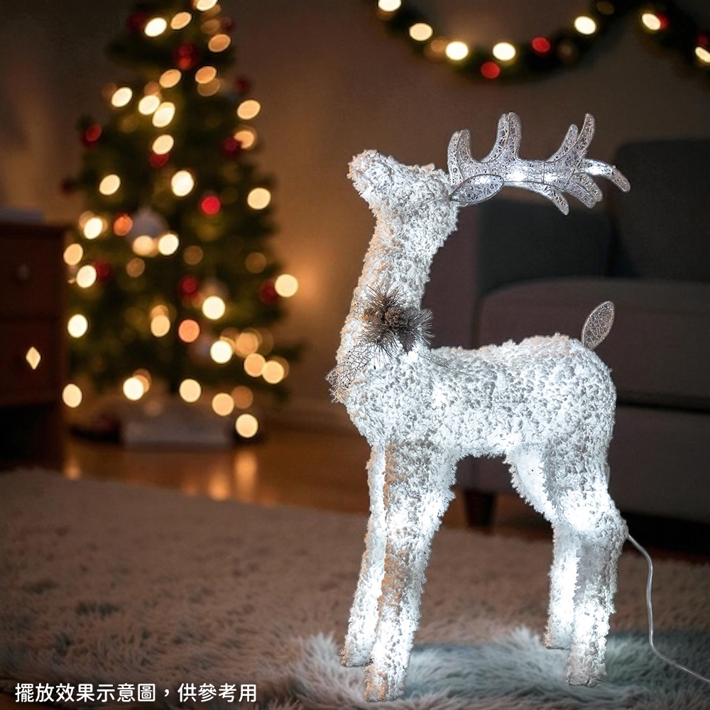 241678-241685-241692-2-1000