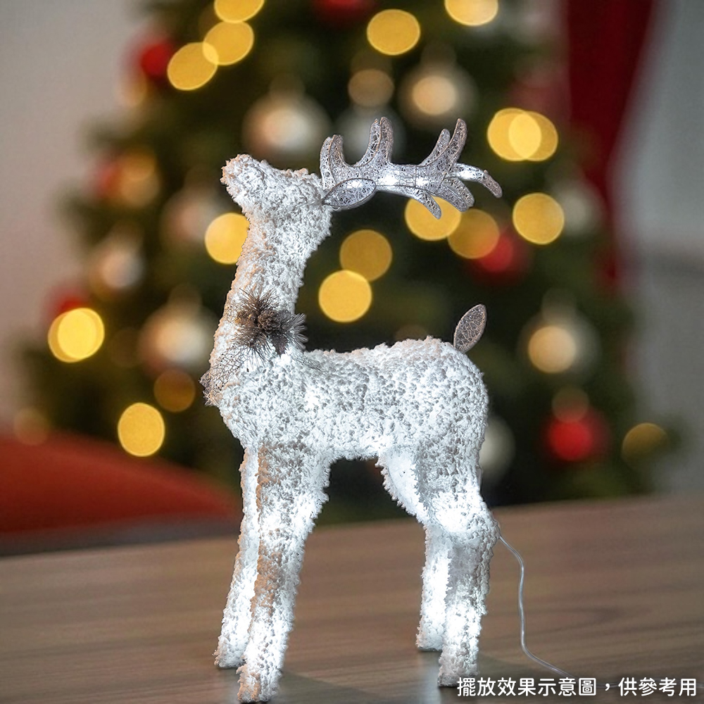 241678-241685-241692-3-1000