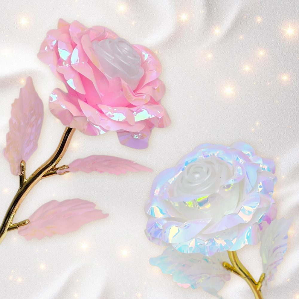 288482-288499-288475-4