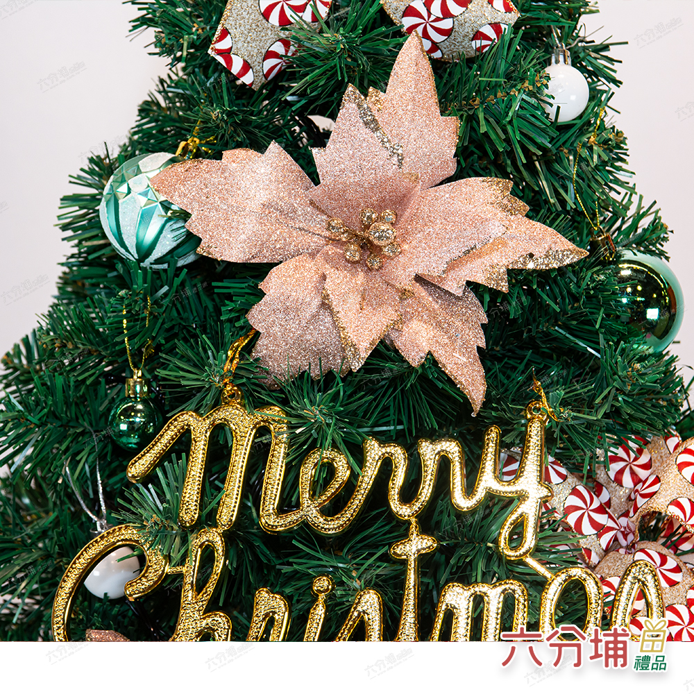 PVC 粉紅 金星-細部1-L