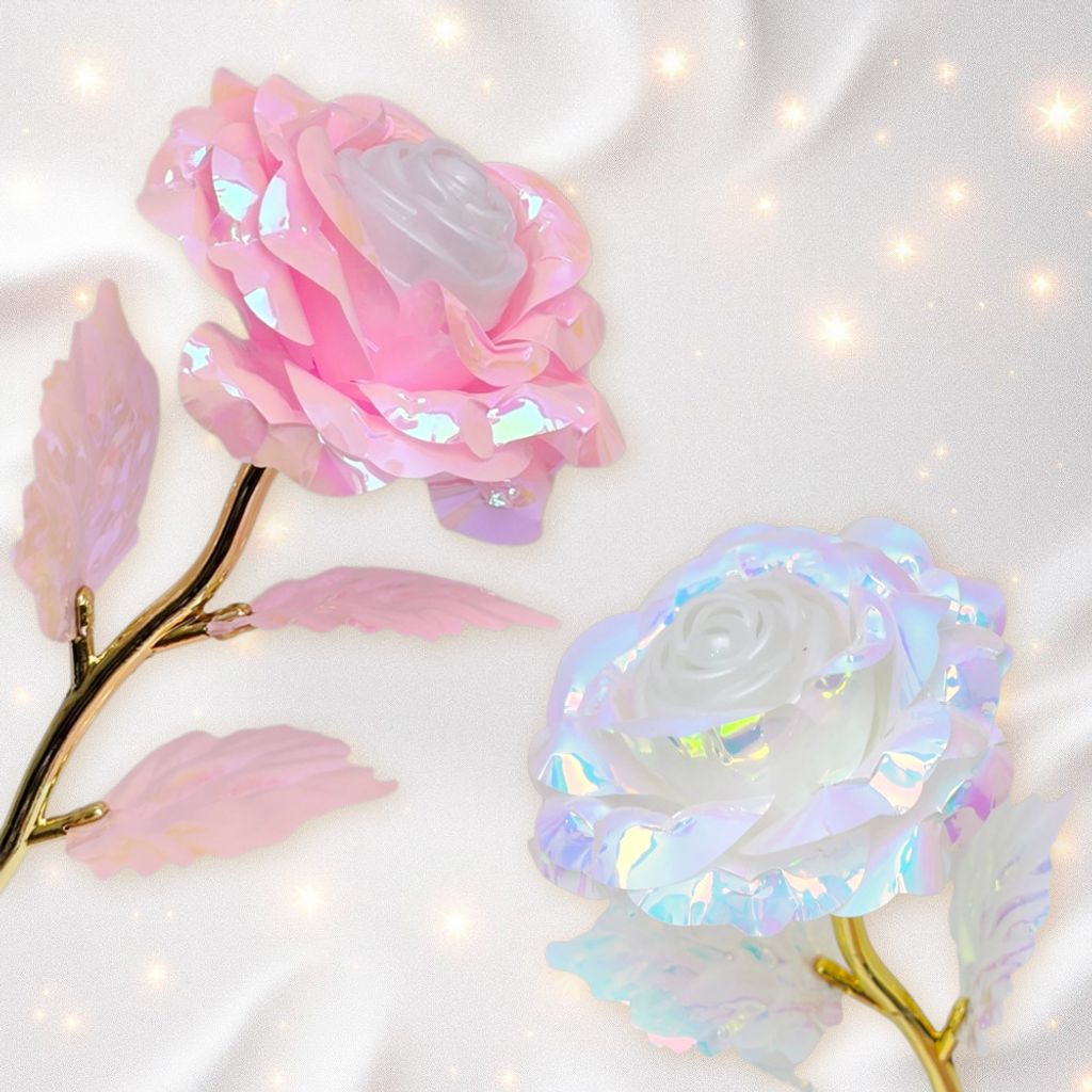 288482-288499-288475-4