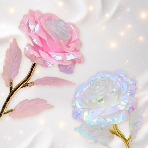 288482-288499-288475-4