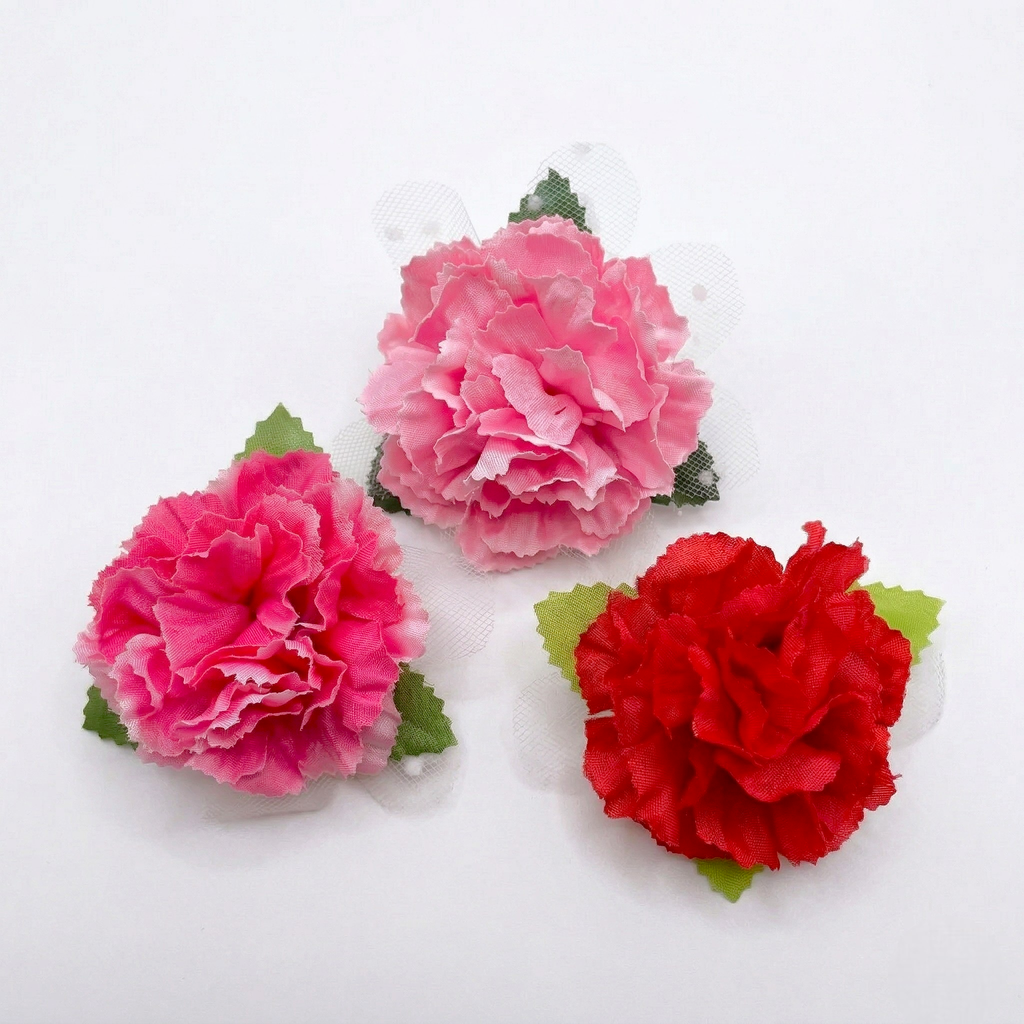 Gemini_Generated_Image_aahianaahianaahi (1)