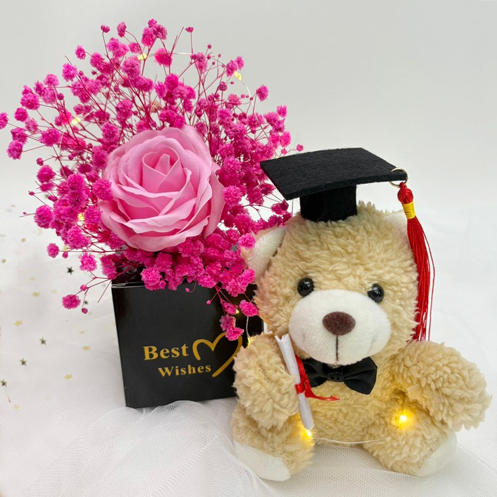 292984-292991-293004-293011-6