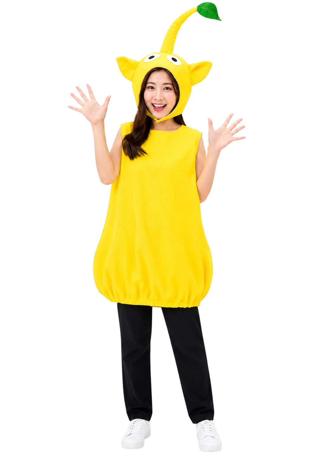 27403