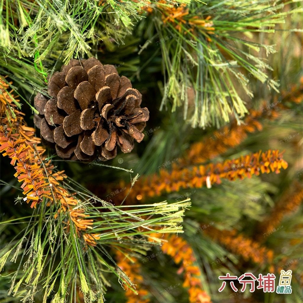 LINE_ALBUM_2022 裸樹修圖JPG_220808_5.jpg