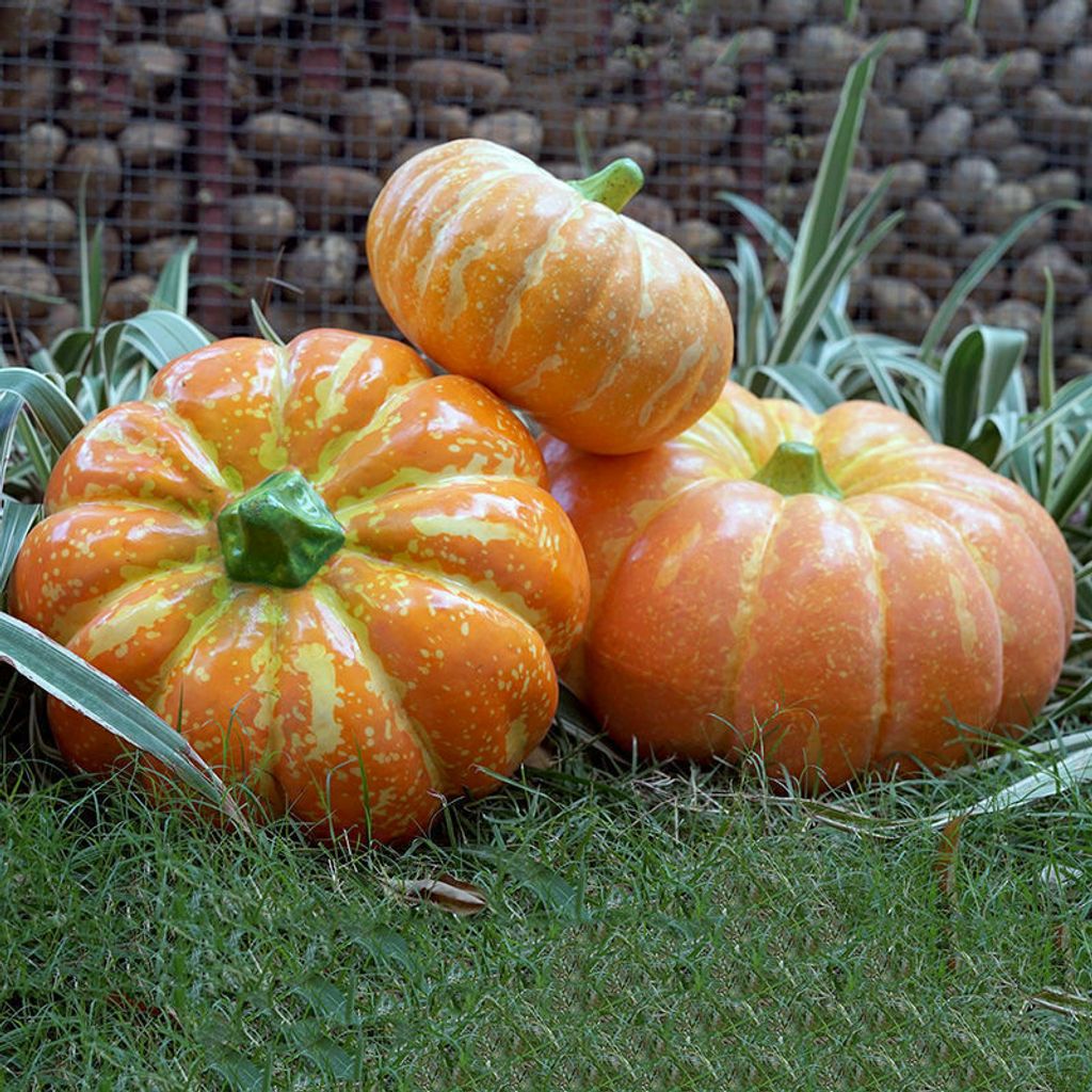 pumpkin-1.jpg