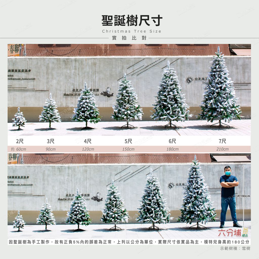 雪樹尺寸
