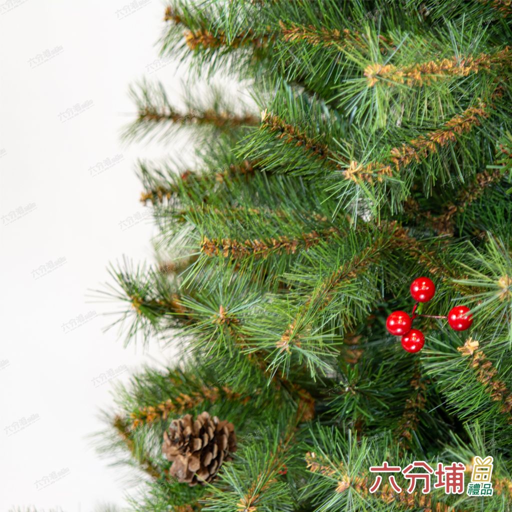 松針圓頭裸樹-細部1-L