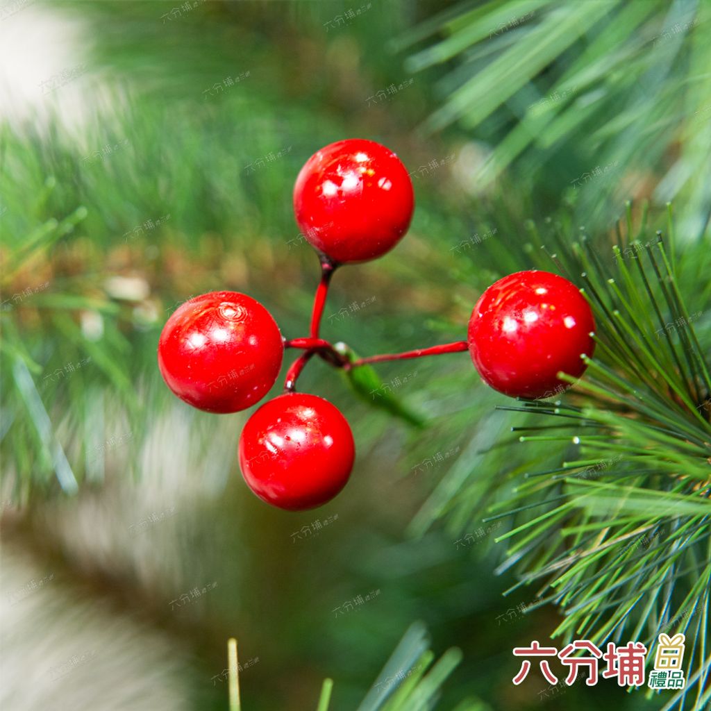 松針圓頭裸樹-細部2-L