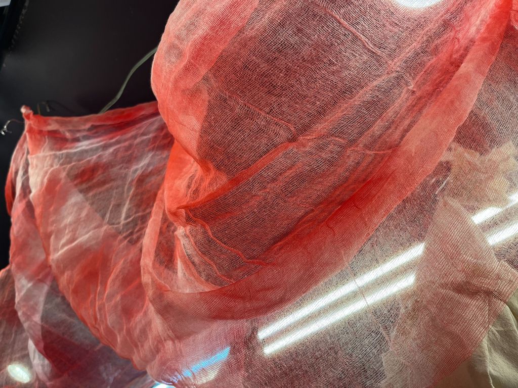 S__16556041