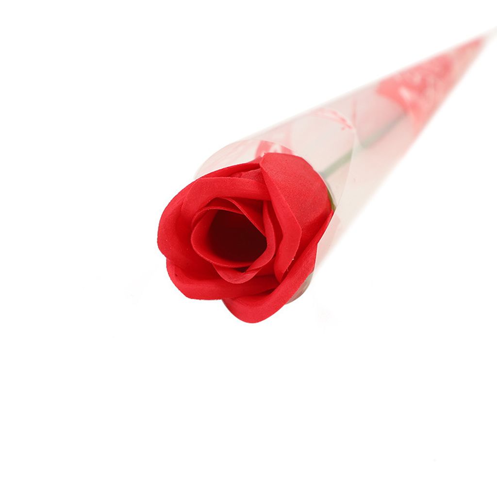 O1CN01IM68S21Vq1KpxCRhJ_!!2200619432703-0-cib