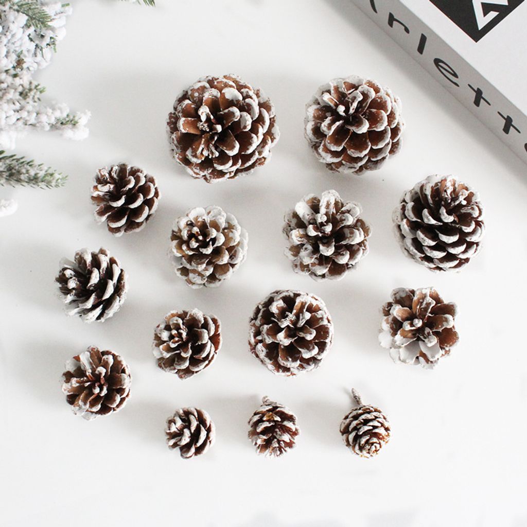 O1CN01dcnzGa1Tdzr0e3fTC_!!2830642406-0-cib