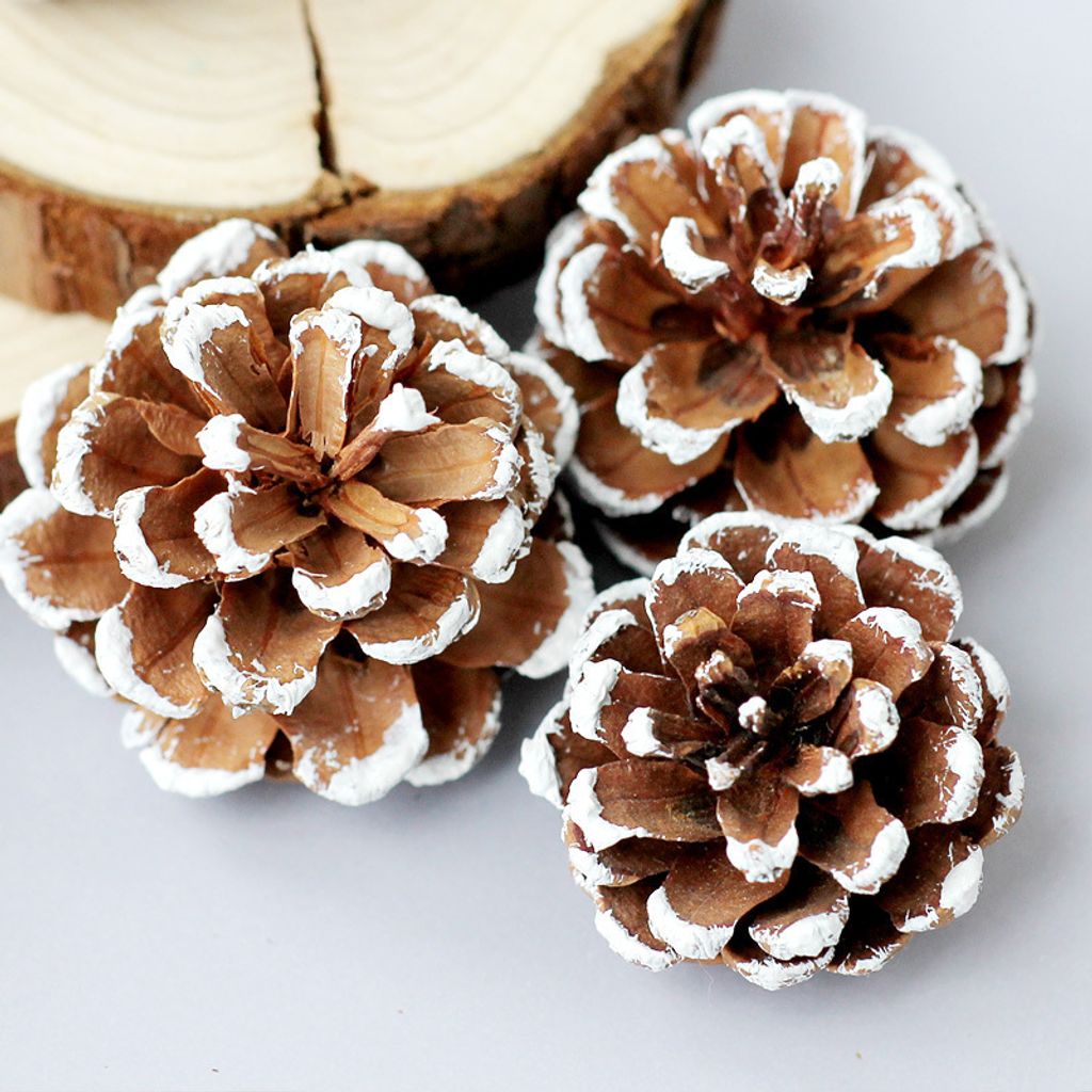 18378136497_737812612