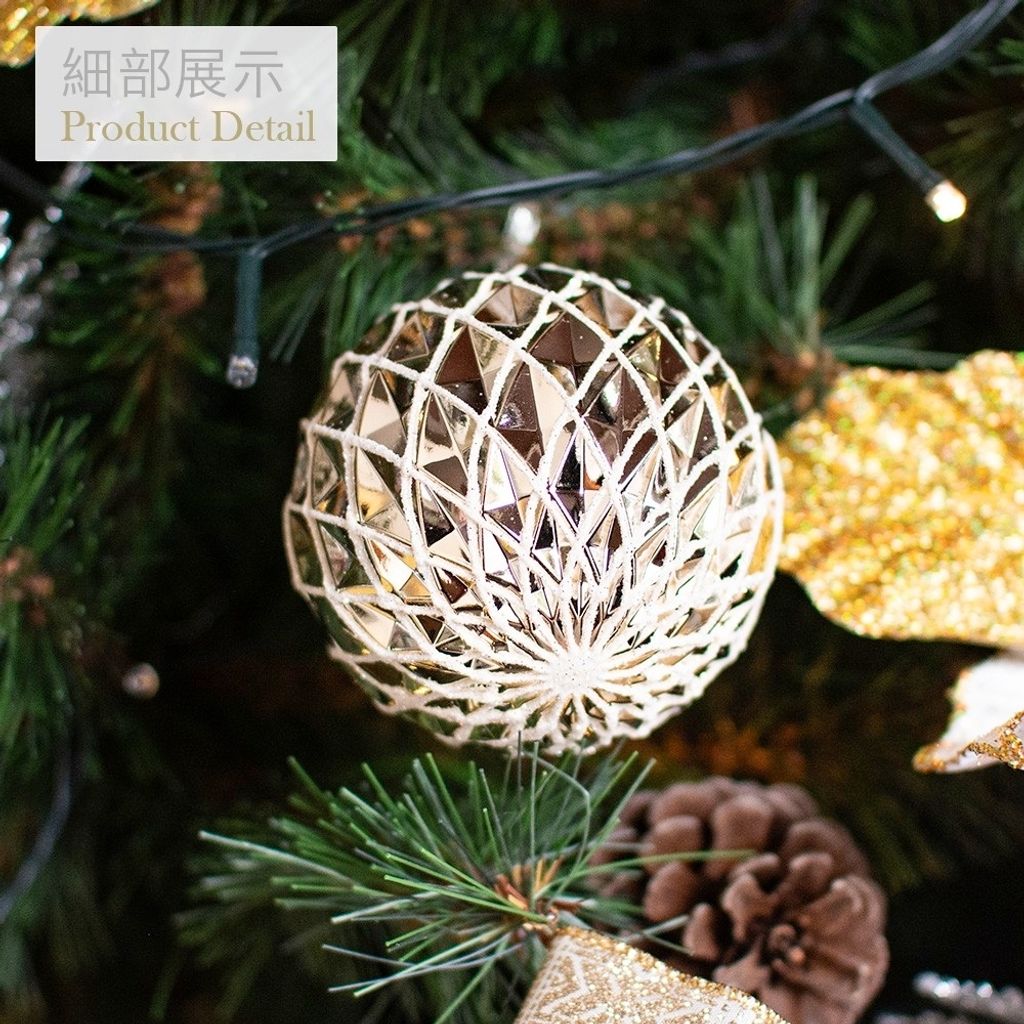 LINE_ALBUM_2024 套裝樹圖片_241101_6