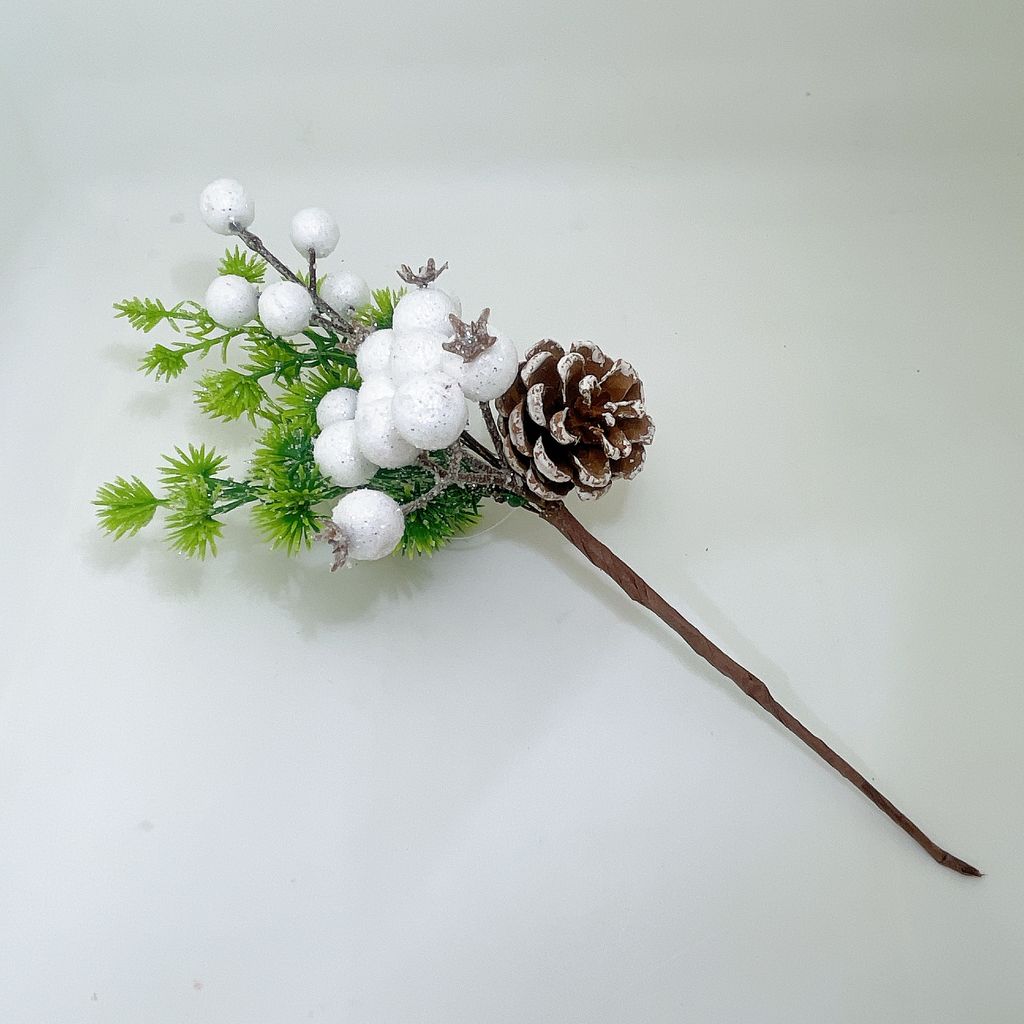 圖片_20241114211633