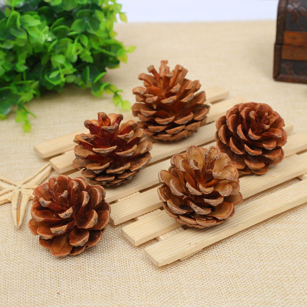 21588392609_1790575786