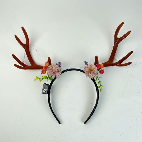 圖片_20241121212524