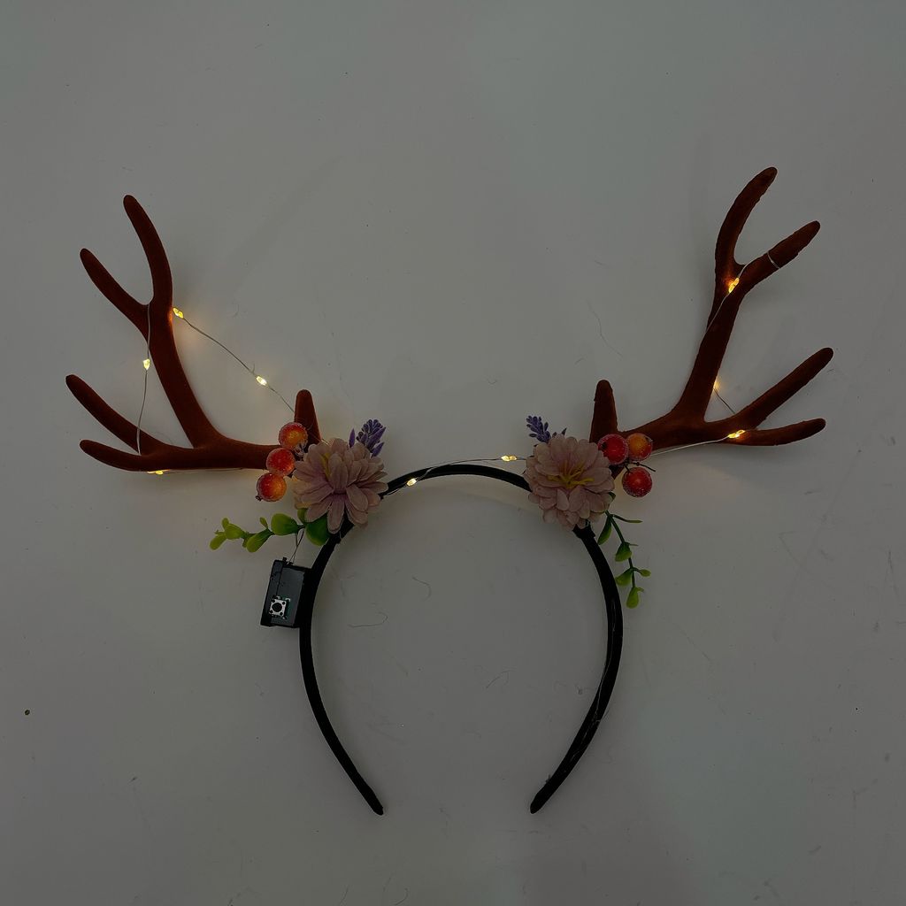 圖片_20241121212531