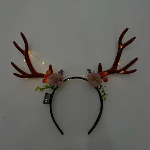 圖片_20241121212531