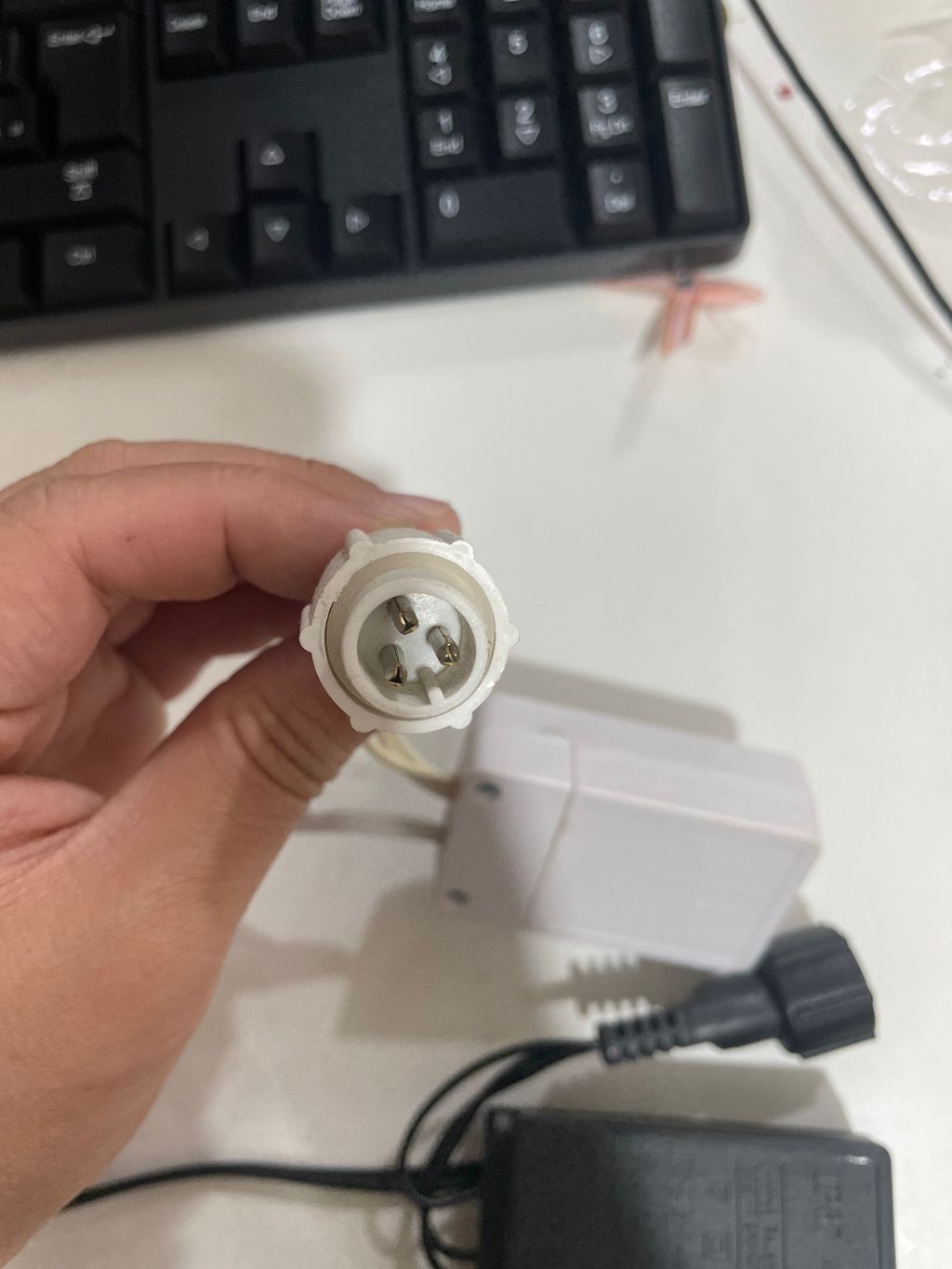 圖片_20241212142039