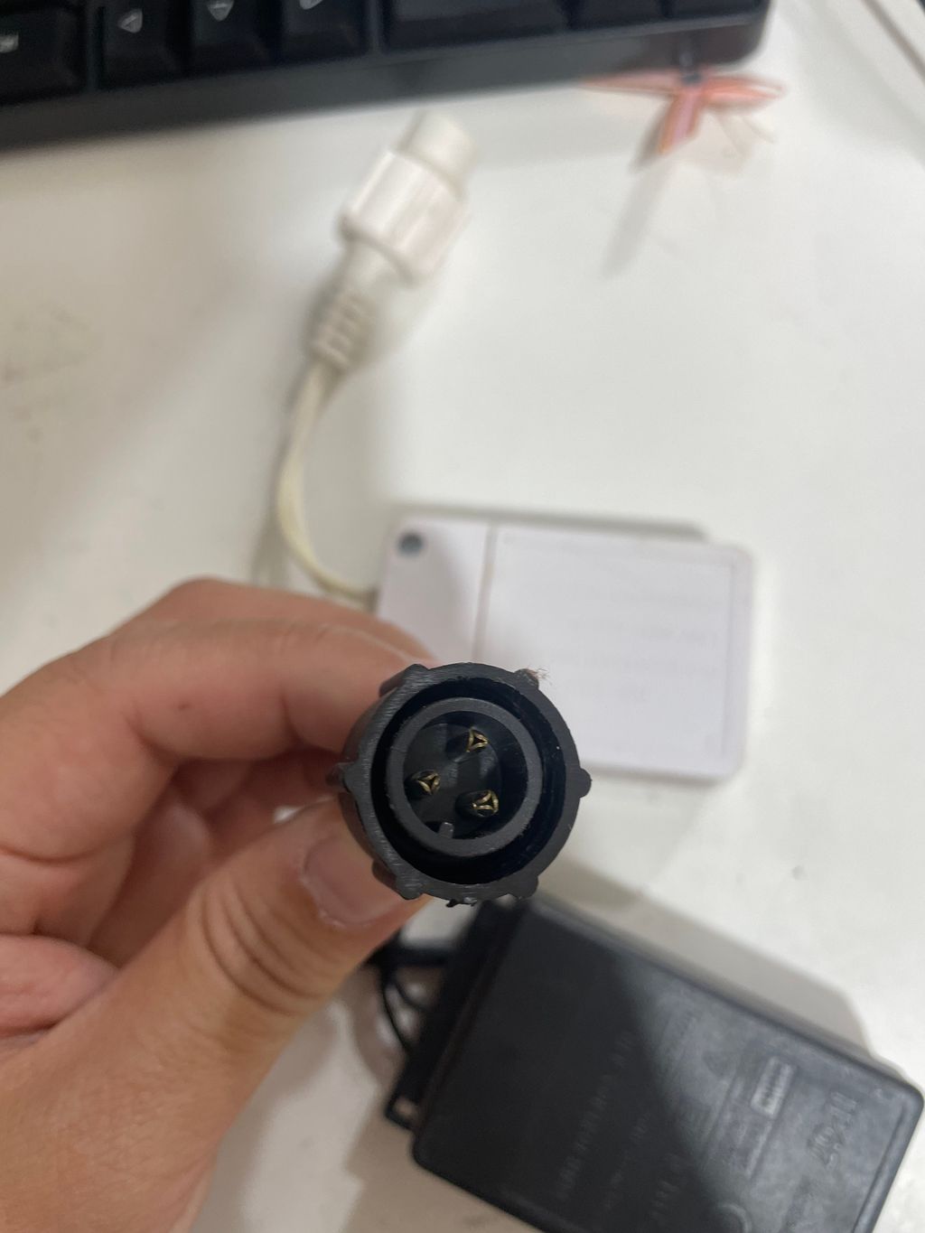 圖片_20241212142027