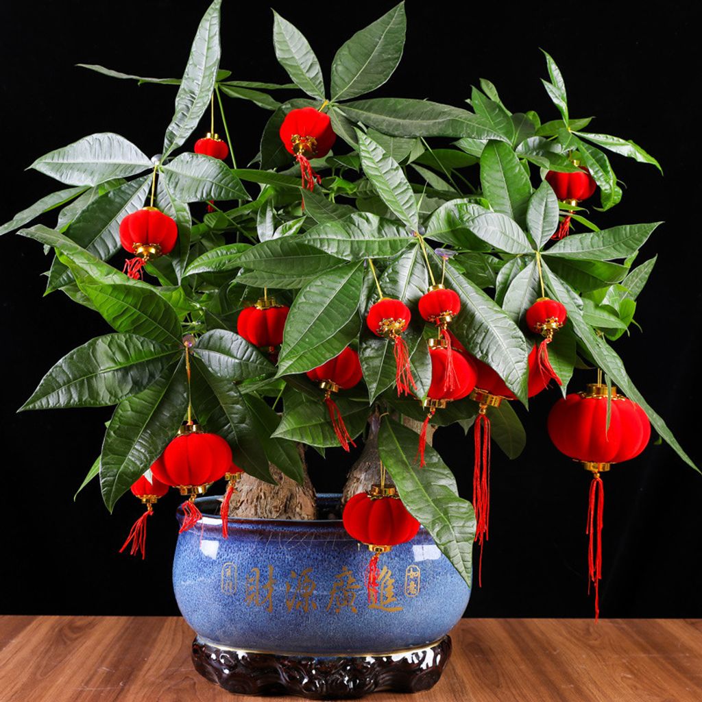 O1CN01hpnqpv2FQLNuKaRKc_!!2209040068874-0-cib