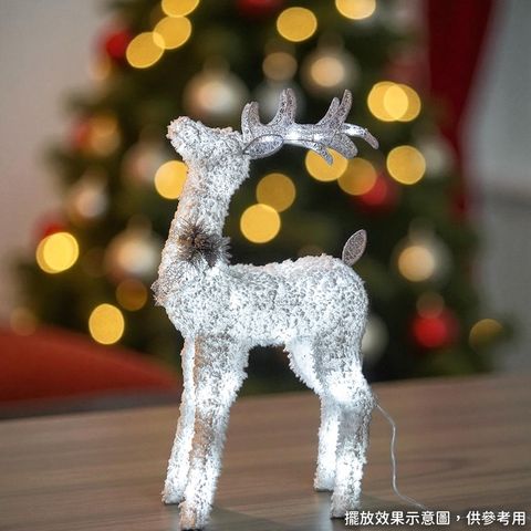 241678-241685-241692-3-1000