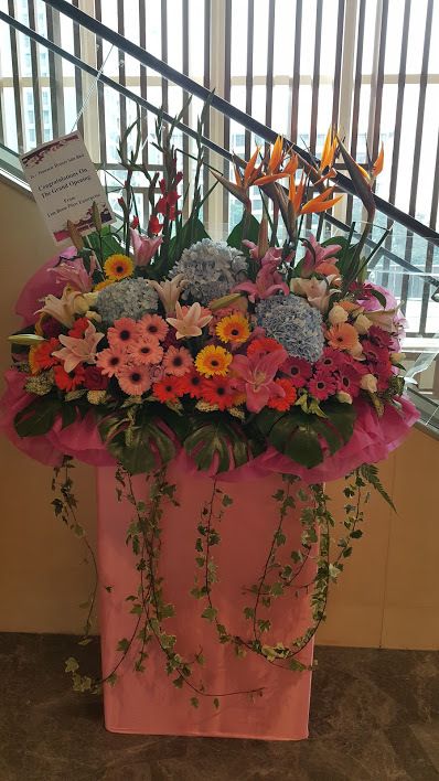 20171016_112238.jpg