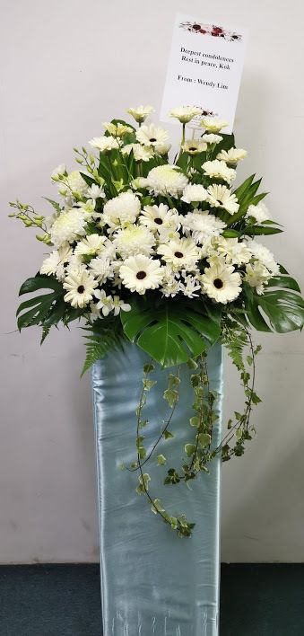 IMG_20191101_164047.jpg