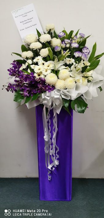 IMG_20190524_093752.jpg