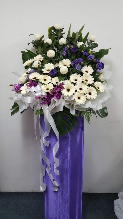 20180630_095212.jpg
