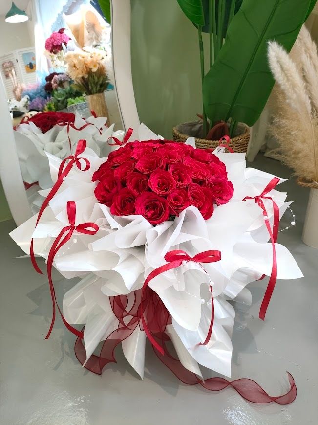 IMG20241228152204