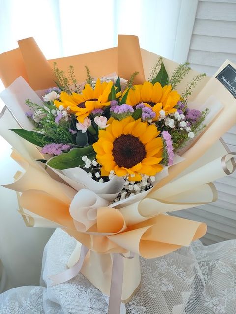 IMG20250520123234