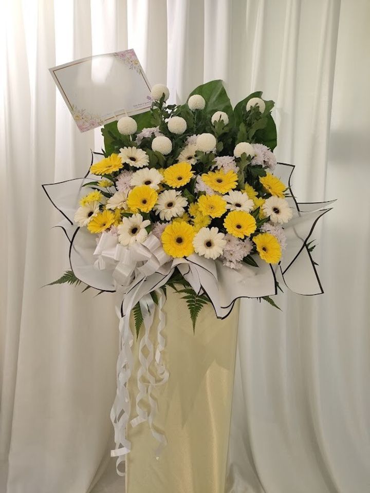 IMG20250104092349