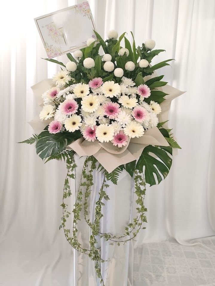 IMG20250605112025
