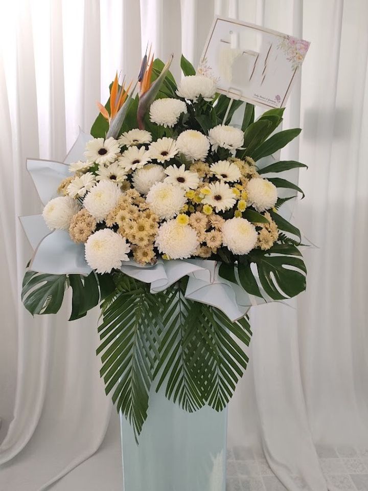 IMG20250704133252