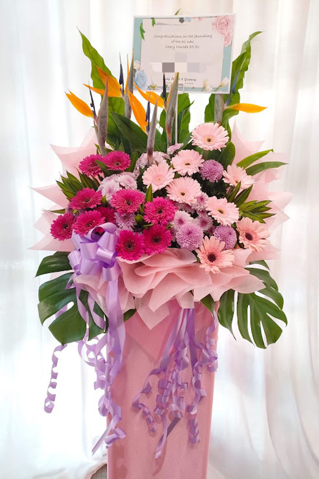 MTXX_MH20240315_124715406