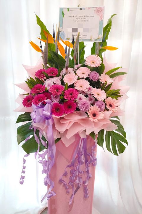 MTXX_MH20240315_124715406