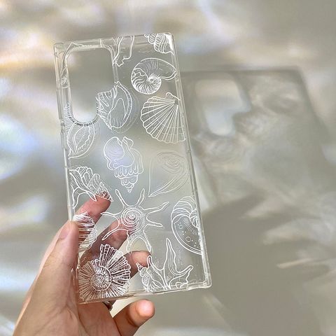 透白貝殼