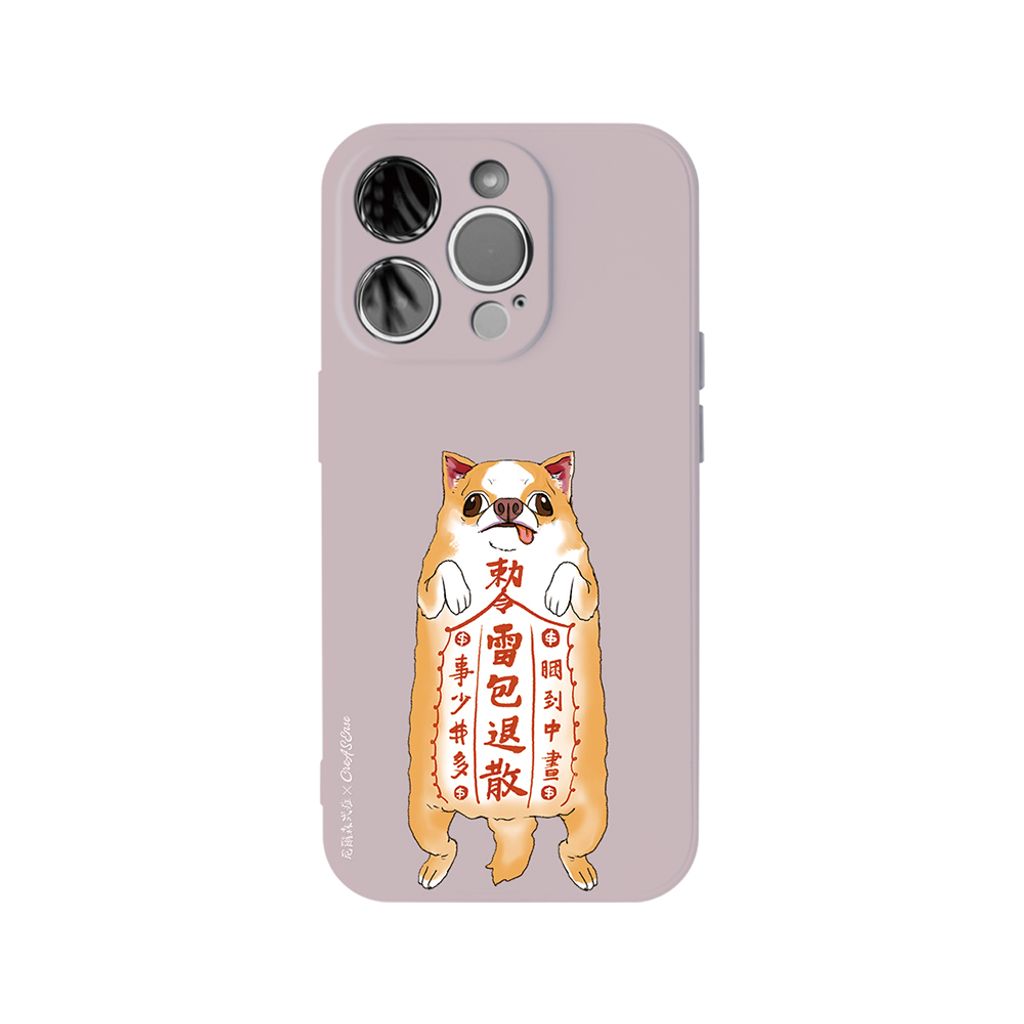 NSAE01R_正面