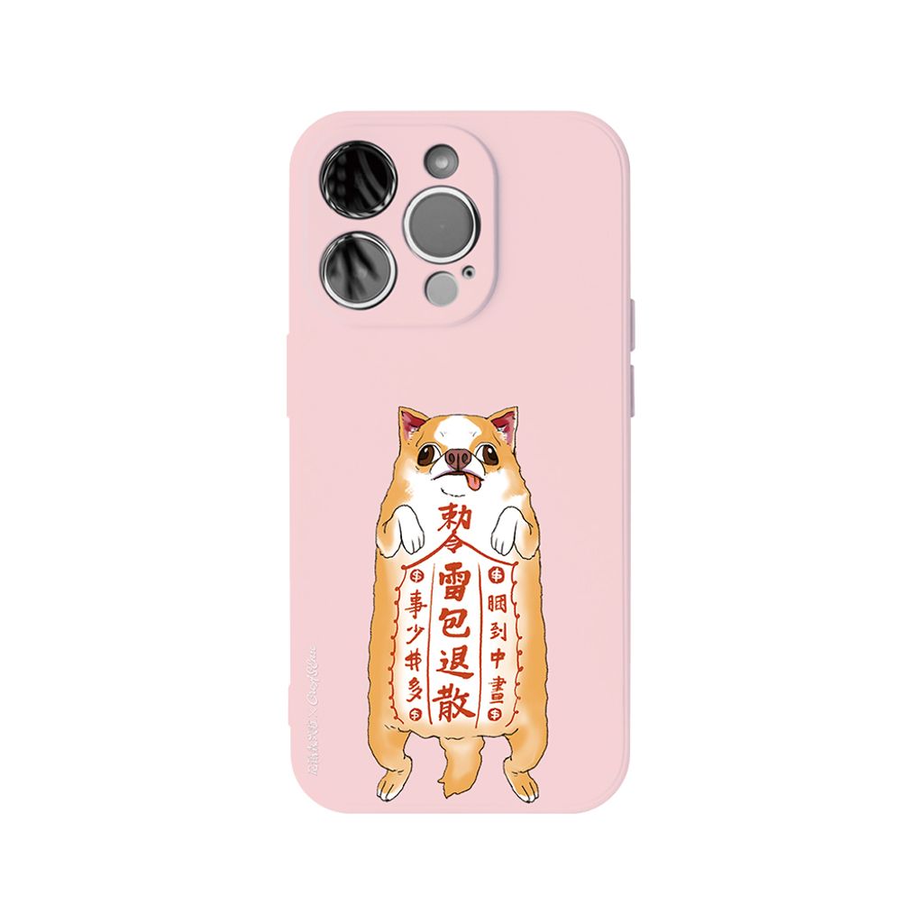 NSAE01P_正面