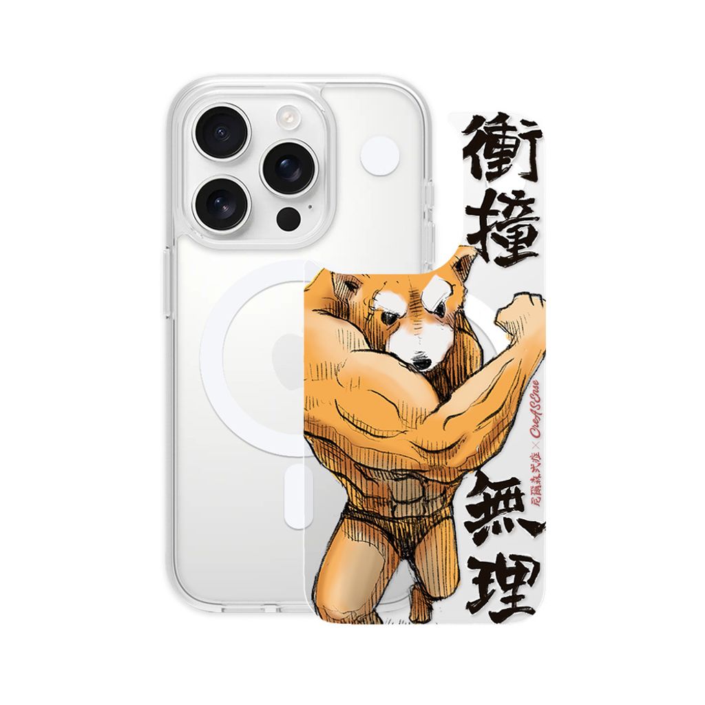 NSAA04M_背蓋分離