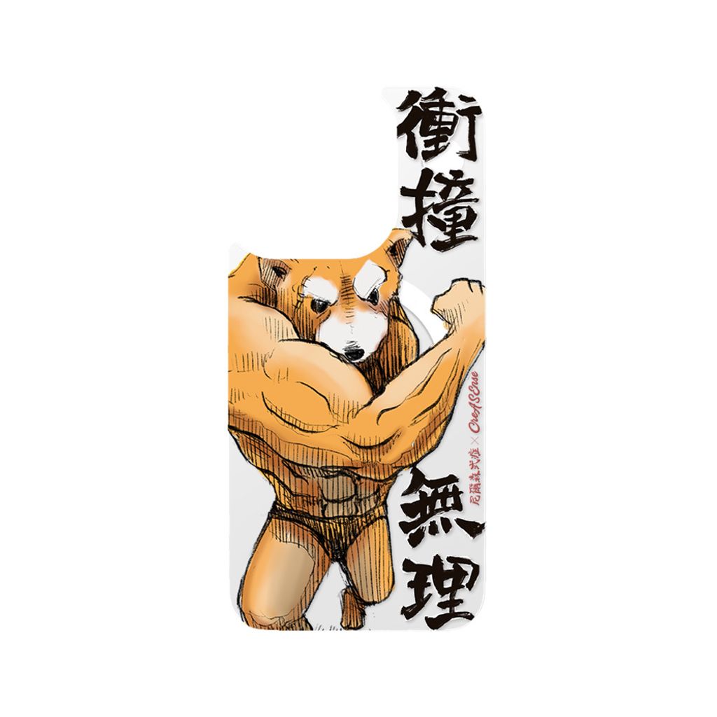 NSAA04M_只有背蓋