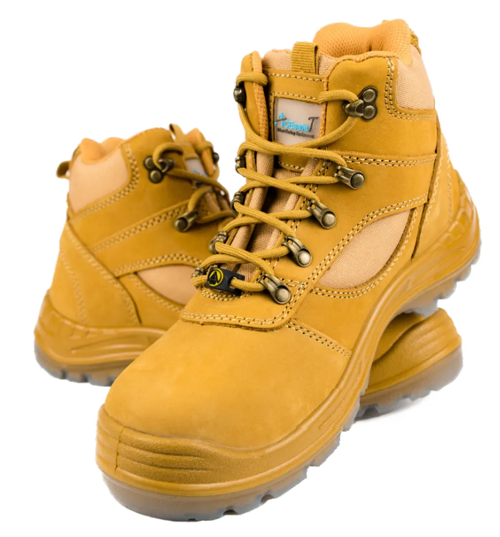 Titan Both.PNG