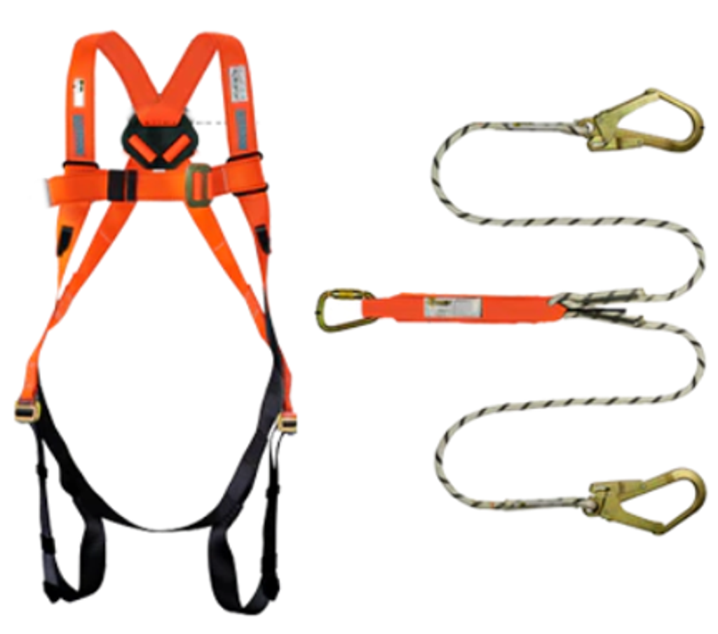 Harness